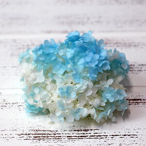 yP10{ z vU[uht[ ԍ o \tgAix ptF \[_[t[g AWTC  z Ԃт vU[uht[ XbO u[P ԑ 