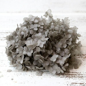 yP10{ z vU[uht[ ԍ o \tgAix O[ AWTC  z Ԃт vU[uht[ XbO u[P hCt[ ԑ DIY 