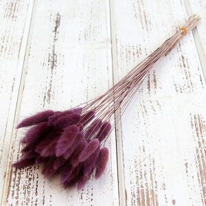 yP10{ z hCt[ ԍ o OX AeB[Np[v  hCt[ XbO u[P hCt[ԑ hCt[XbO [X AW ԍ 