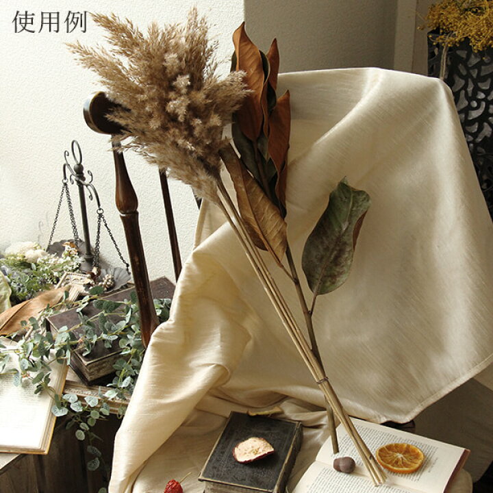 楽天市場 ドライフラワー 花材 即日出荷 Coretrading マグノリアリーフ ナチュラル ワイルドフラワー 葉 リーフ ドライフラワー スワッグ ブーケ ドライフラワー花束 花束 ドライフラワースワッグ リース アレンジ 花材 素材 材料 花 造花ドライフラワー専門問屋