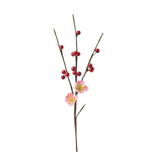 yP10{ z   Ƃ悹i ~&x[ sN a ~ Japanese A[eBtBVt[ apricot v CeA CeAt[ tFCNt[ VNt[ p