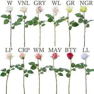 yP10{ z  Ƃ悹i [YAo`F(1Zbg12{) CeA CeAt[ tFCNt[ VNt[ A[gt[ lfBXvC~[WA YDM