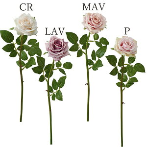 yP10{ z  Ƃ悹i GKg[Y(1Zbg12{) CeA CeAt[ tFCNt[ VNt[ tFCNO[ lfBXvC~[WA YDM