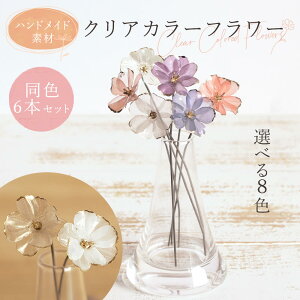 yP10{ 12/31܂ŁIz  o NAJ[t[(16{)  ޗ   l wbhp[c CeA CeAt[ tFCNt[ AXJ ASCA AXJ