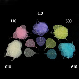 yP10{ z hCt[ ԍ o y50%OFFz s[vXPgE~j(݌Ɍ) [t t XPg[t hCt[ AW ԍ f ޗ p[c  n_