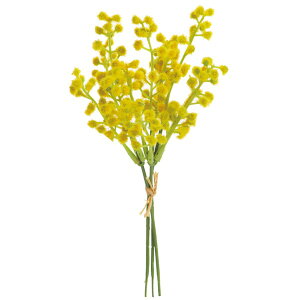 yP10{ 12/31܂ŁIz  Ƃ悹i ~UsbNohx3 CeA CeAt[ tFCNt[ VNt[ CeAO[ tFCNO[ A[gt[ r