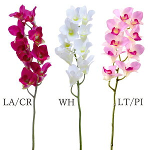 yP10{ 12/31܂ŁIz  Ƃ悹i ft@ CeA CeAt[ tFCNt[ VNt[ CeAO[ tFCNO[ A[gt[ ԍ Ԏ ro