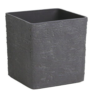 Jo[ |bgJo[ Ƃ悹i KbgFRPfފp8pAbV Jo[ p^ v CeA x[X ϗtA i` O[ tFCNO[ fBXvC