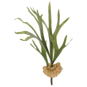 yP10{ z  O[ A Ƃ悹i X^bOz[ GAvc TbJe T{e CeA tFCN O[ p[c tFCNt[ AXJ ASCA AXJ