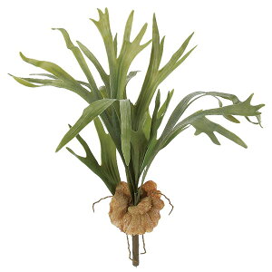 yP10{ z  O[ A Ƃ悹i X^bOz[ GAvc TbJe T{e CeA tFCN O[ p[c tFCNt[ AXJ ASCA AXJ