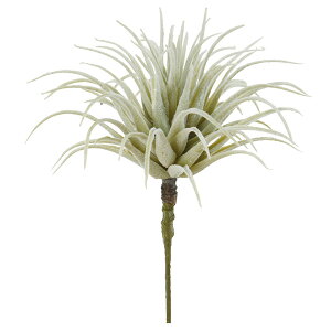 yP10{ z  O[ A Ƃ悹i eBhVA GAvc TbJe T{e CeA tFCN O[ p[c tFCNt[ AXJ ASCA AXJ