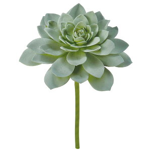  O[ A Ƃ悹i TbJe CeA tFCN O[ p[c AWg CeAt[ tFCNt[ t AXJ ASCA AXJ