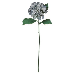  Ƃ悹i nChWA  AWTC z nChWA ZCEAWTC mz CeA CeAt[ ԍ f AXJ ASCA AXJ