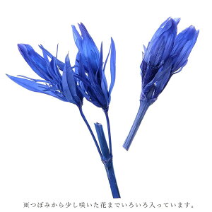 yP10{ 12/31܂ŁIz vU[uht[ ԍ Ƃ悹i hE(8֓) ԍ f ޗ p[c hCt[ vU[uh O[ ǂ _  hCt[ԑ n