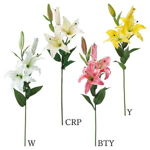  Ƃ悹i JTuJ(1Zbg12{) S   A[eBtBVt[ CeA CeAt[ ԍ Ԏ lfBXvC~[WA YDM