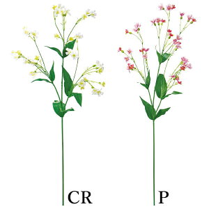  Ƃ悹i T|iA(1Zbg12{) CeA CeAt[ tFCNt[ VNt[ CeAO[ ԍ lfBXvC~[WA YDM