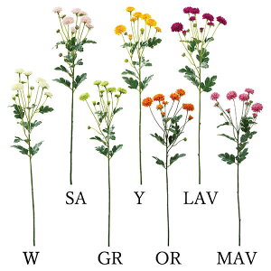  Ƃ悹i Xv[}(1Zbg12{) a e } CeA CeAt[ tFCNt[ VNt[ ԍ f lfBXvC~[WA YDM