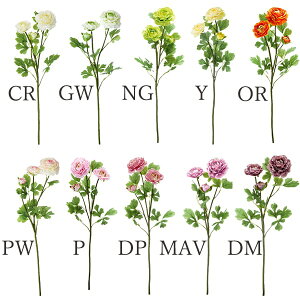 yP10{ z  Ƃ悹i iLX(1Zbg12{) CeA CeAt[ tFCNt[ VNt[ CeAO[ lfBXvC~[WA YDM