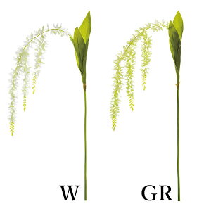 yP10{ z  Ƃ悹i LXP[hI[Lbh(1Zbg12{) CeA CeAt[ tFCNt[ VNt[ ԍ Ԏ lfBXvC~[WA YDM