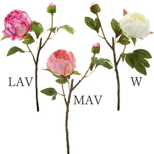  Ƃ悹i {^(1Zbg12{) {^ O VNN 䉖 CeA CeAt[ tFCNt[ VNt[ lfBXvC~[WA YDM