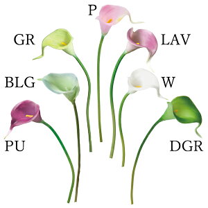 yP10{ z  Ƃ悹i J--(1Zbg24{) A[eBtBVt[  CeA CeAt[ tFCNt[ ԍ lfBXvC~[WA YDM