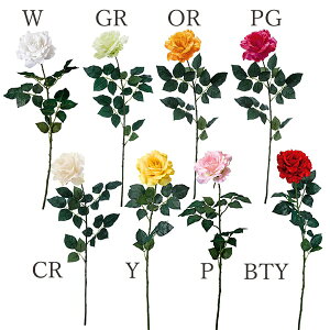 yP10{ z  Ƃ悹i LOTe[Y(1Zbg12{) CeA CeAt[ tFCNt[ VNt[ A[gt[ lfBXvC~[WA YDM