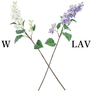  Ƃ悹i CbN(1Zbg6{)  CeA CeAt[ tFCNt[ VNt[ CeAO[ lfBXvC~[WA YDM