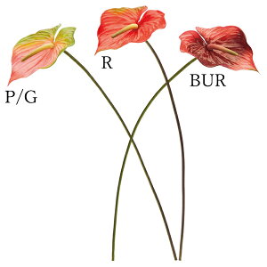 yP10{ }\z  Ƃ悹i AX[(1Zbg12{) A[eBtBVt[  CeA CeAt[ tFCNt[ t lfBXvC~