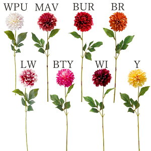 yP10{ z  Ƃ悹i _AubN(1Zbg12{) CeA CeAt[ tFCNt[ VNt[ CeAO[ lfBXvC~[WA YDM