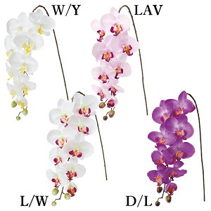  Ƃ悹i R`E(1Zbg6{) CeA CeAt[ tFCNt[ VNt[ CeAO[ DIY lfBXvC~[WA YDM