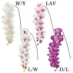  Ƃ悹i OR`E(1Zbg6{) CeA CeAt[ tFCNt[ VNt[ tFCNO[ lfBXvC~[WA YDM