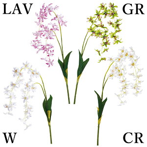 yP10{ z  Ƃ悹i TeCI[Lbh(1Zbg12{) CeA CeAt[ tFCNt[ VNt[ ԍ f lfBXvC~[WA YDM