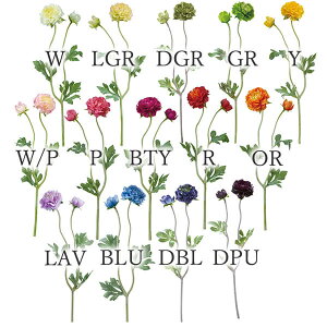 yP10{ z  Ƃ悹i tbtB[iLX(1Zbg12{) CeA CeAt[ tFCNt[ VNt[ ԍ t lfBXvC~[WA YDM