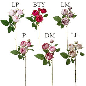 yP10{ z  Ƃ悹i ~tB[[YXv[(1Zbg12{) CeA CeAt[ tFCNt[ VNt[ ԍ t lfBXvC~[WA YDM