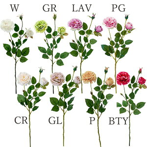  Ƃ悹i I[h[YXv[(1Zbg12{) CeA CeAt[ tFCNt[ VNt[ ԍ Ԏ lfBXvC~[WA YDM