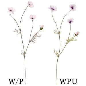  Ƃ悹i XCOAllXv[(1Zbg12{) A[eBtBVt[ CeA CeAt[ VNt[ lfBXvC~[WA YDM