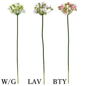 yP10{ }\z  Ƃ悹i XCOA[(1Zbg12{) A[eBtBVt[  CeA CeAt[ VNt[ lfBXvC~