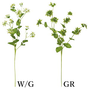 yP10{ z  Ƃ悹i vvE(1Zbg12{) CeA CeAt[ tFCNt[ VNt[ CeAO[ t lfBXvC~[WA YDM