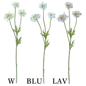 yP10{ z  Ƃ悹i [Xt[(1Zbg12{) CeA CeAt[ tFCNt[ VNt[ CeAO[ lfBXvC~[WA YDM