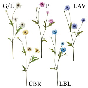 yP10{ z  Ƃ悹i {^jJO}\E(1Zbg12{) CeA CeAt[ tFCNt[ VNt[ ԍ Ԏ lfBXvC~[WA YDM