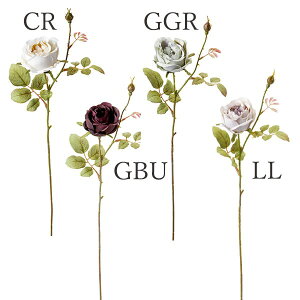  Ƃ悹i |jG[Y(1Zbg12{) CeA CeAt[ tFCNt[ VNt[ CeAO[ lfBXvC~[WA YDM