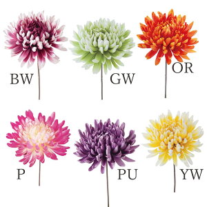  Ƃ悹i dˋesbN(1Zbg12{) a e } CeA CeAt[ tFCNt[ VNt[ ԍ f lfBXvC~[WA YDM