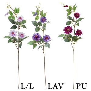 yP10{ z  Ƃ悹i N}`X(1Zbg12{) ebZ CeA CeAt[ tFCNt[ VNt[ A[gt[ lfBXvC~[WA YDM