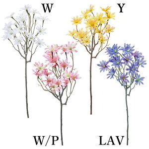  Ƃ悹i tOXf[W[(1Zbg12{) CeA CeAt[ tFCNt[ VNt[ ԍ Ԏ lfBXvC~[WA YDM