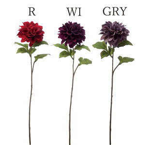 yP10{ z  Ƃ悹i xxbg_A(1Zbg12{) CeA CeAt[ tFCNt[ VNt[ tFCNO[ lfBXvC~[WA YDM