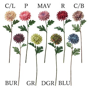 yP10{ z  Ƃ悹i ae(1Zbg12{) a e } CeA CeAt[ tFCNt[ VNt[ tFCNO[ lfBXvC~[WA YDM