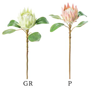 yP10{ z  Ƃ悹i LOveA(1Zbg6{) CeA CeAt[ tFCNt[ VNt[ CeAO[ lfBXvC~[WA YDM