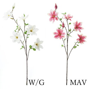 yP10{ z  Ƃ悹i }OmAu`(1Zbg6{) a ؘ@ N CeA CeAt[ tFCNt[ VNt[ lfBXvC~[WA YDM