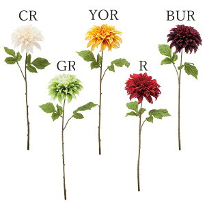 yP10{ z  Ƃ悹i ~-Y_A(1Zbg12{) CeA CeAt[ tFCNt[ VNt[ CeAO[ lfBXvC~[WA YDM