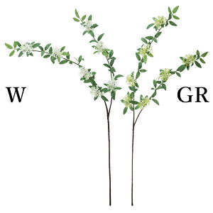  Ƃ悹i Rf}(1Zbg12{) A[eBtBVt[ CeA CeAt[ tFCNt[ ԍ Ԏ lfBXvC~[WA YDM